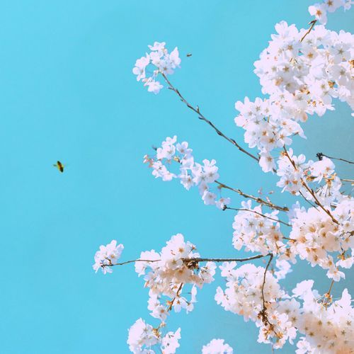 This Is What Life Is All About