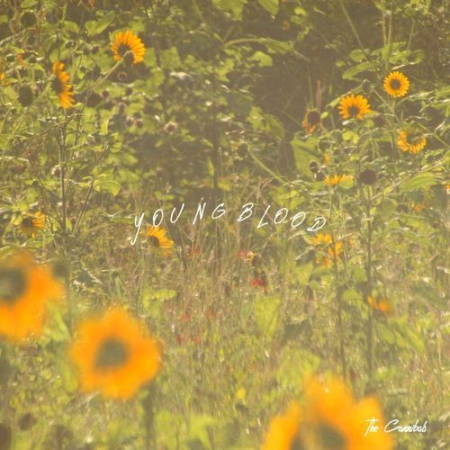 Too Late, Too Little