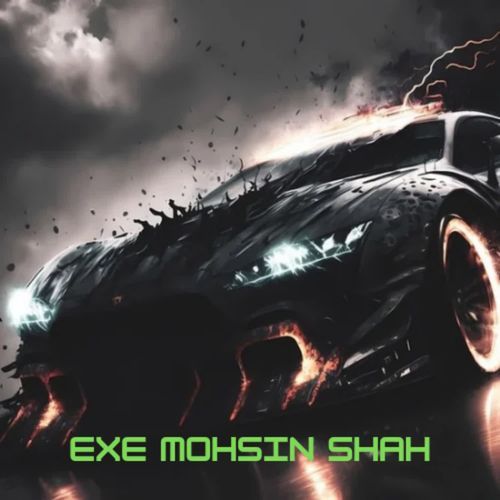 exe mohsin shah