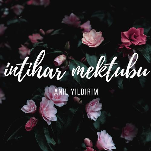  Anıl Yıldırım