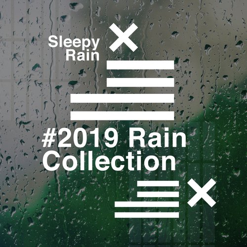 # 2019 Rain Collection