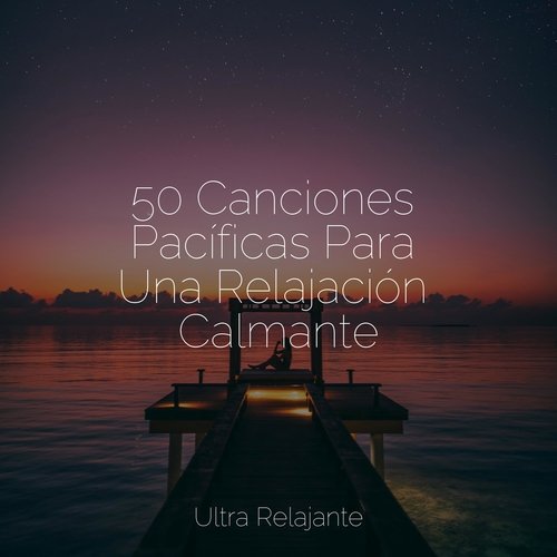 50 Canciones Pacíficas Para Una Relajación Calmante_poster_image