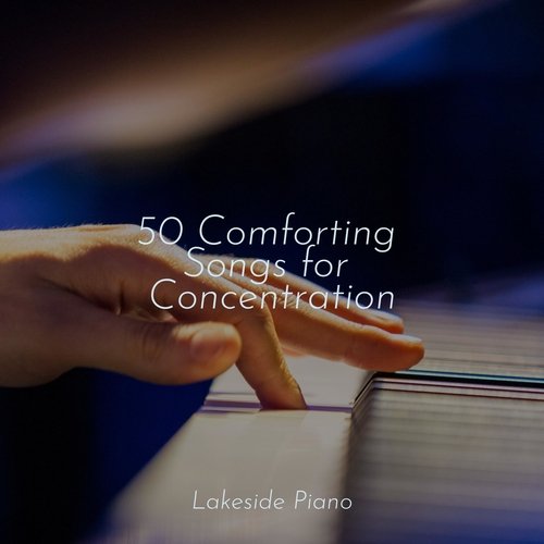 50 Comforting Songs for Concentration