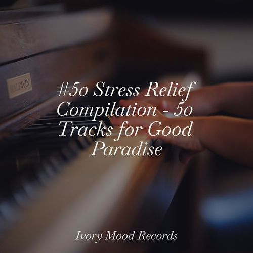 #50 Stress Relief Compilation - 50 Tracks for Good Paradise