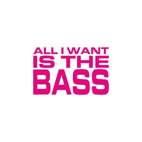 All I Want Is The Bass_poster_image