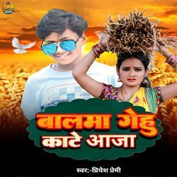 Balama Gehu Kate Aaja