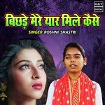 Bichde Mere Yaar Mile Kaise