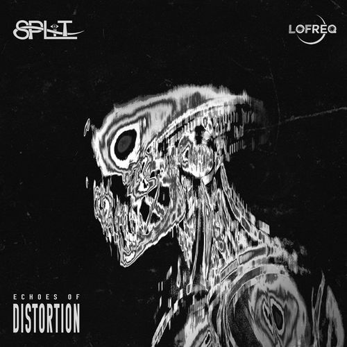 Echoes of Distortion