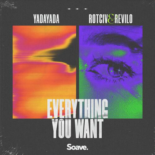 Everything You Want_poster_image