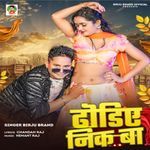 Gol Gol Dhorie Nik Ba