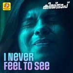I Never Feel To See (From "Kidnap") (Original Motion Picture Soundtrack)