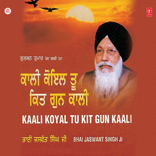 Kaali Koyal Tu Kit Gun Kaali Vol-10