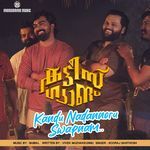 Kandu Nadannoru Swapnam (From &quot;Kattis Gang&quot;)