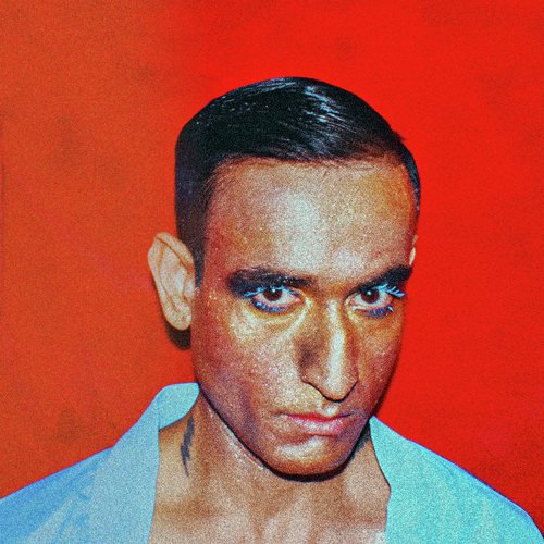 Orcas (FXWRK Remix) cover art