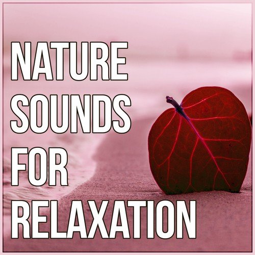 Nature Sounds For Relaxation - Healing Meditation And Yoga, Health &  Healing Relaxation, Calm Background Music Songs Download - Free Online Songs  @ JioSaavn