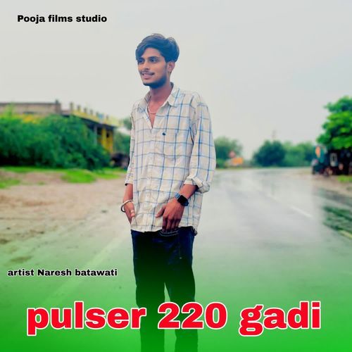 Pulser 220 Gadi