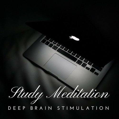 Study Meditation: Deep Brain Stimulation, Concentration Music for Learning Reading Studying & Working