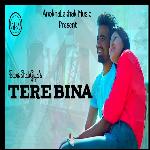 Tere Bina
