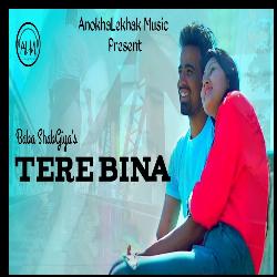 Tere Bina
