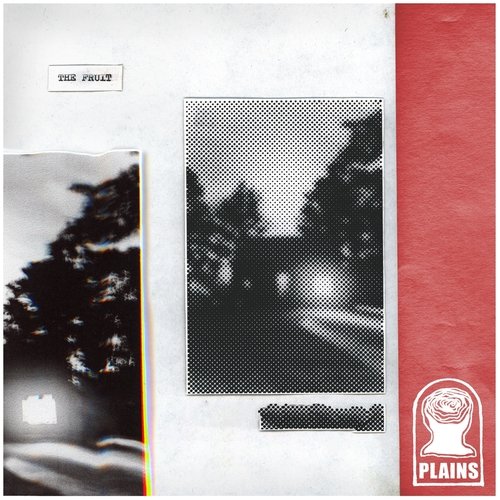 Seltzer cover art