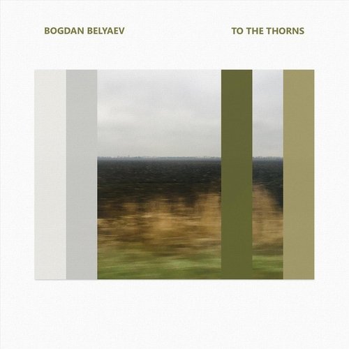To the Thorns cover art