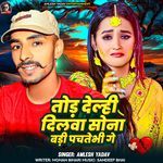 Tod Delahi Dilwa Sona Badi Pachatebhi Ge