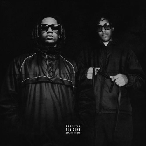 Trooping Pt. 2 (F*ck Rap)