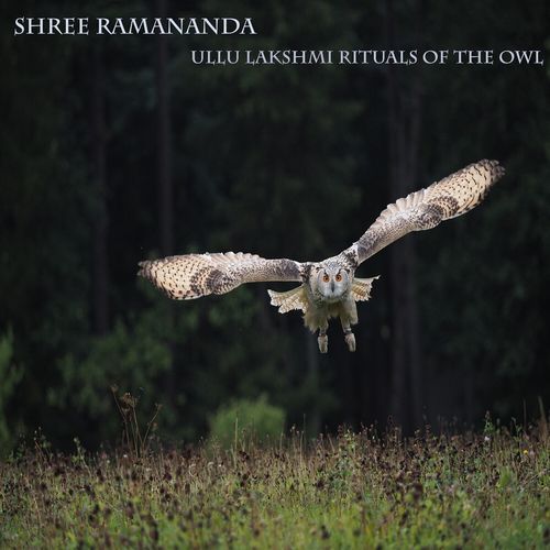 Ullu Lakshmi Rituals of the Owl