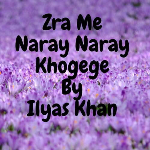 Zra Me Naray Naray Khogege Tape