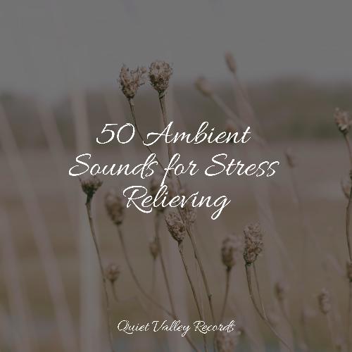 50 Ambient Sounds for Stress Relieving