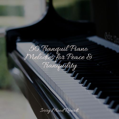 50 Tranquil Piano Melodies for Peace & Tranquility