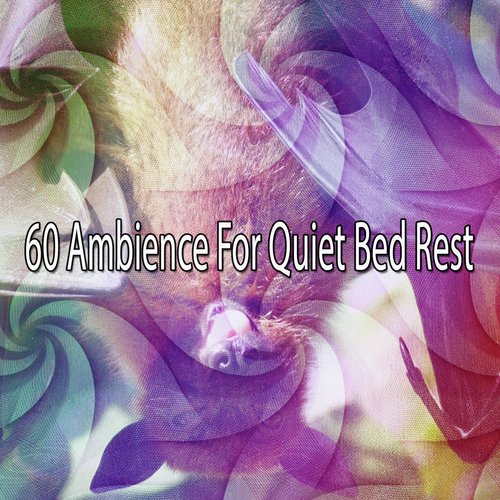 60 Ambience For Quiet Bed Rest Songs Download Free Online Songs