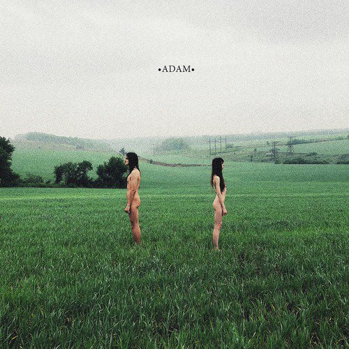 Adam cover art