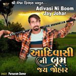 Adivasi Ni Boom Jay Johar