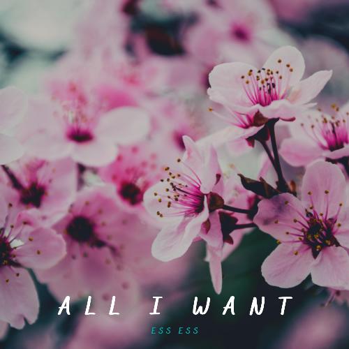 All I Want_poster_image