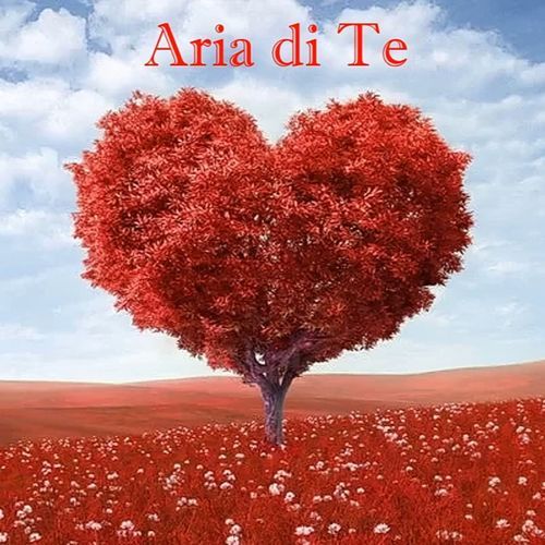 Aria di Te cover art