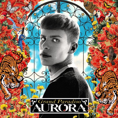 ANIMAL (TRADUÇÃO) - AURORA 