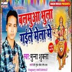 Balmua Bhula Gaile Mela Me