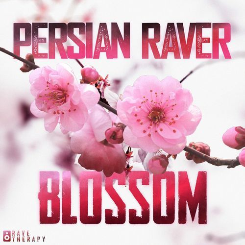 Blossom_poster_image