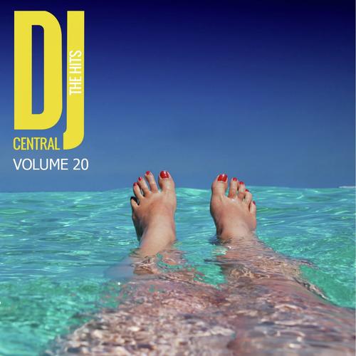DJ Central - The Hits, Vol. 20
