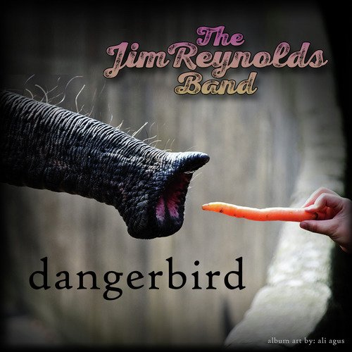 Dangerbird cover art