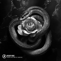 Desert Rose (feat. Jaime Deraz)-GgJTQxtcb3Q