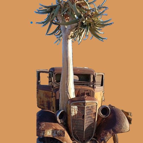 Deserti e relitti. cover art