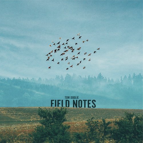 Field Notes_poster_image