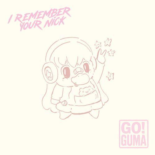 The Night I Fell In Love With A Streamer cover art