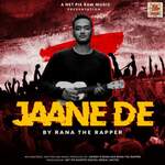 Jaane De artwork