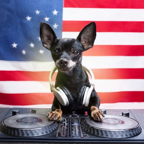 Friends Forever MAGA cover art