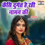 Kaisi Durgat Hai Rahi Naman Ki