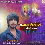 Mari Naganeshwari Puje Aeno Thay Bedo Paar