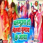 Mor Balmuwa Ho Melwa Ghumai Ke Jaaya